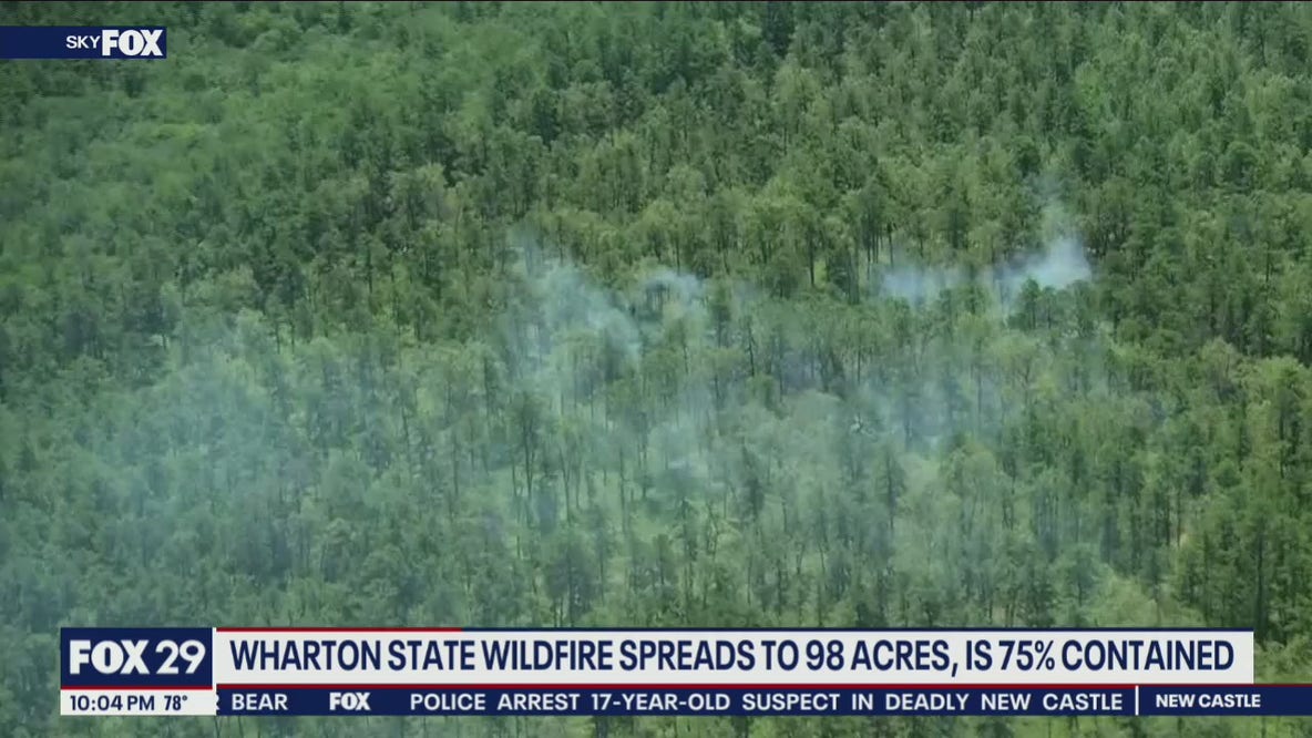 Wharton State wildfire spreads to 98 acres, 75 percent contained